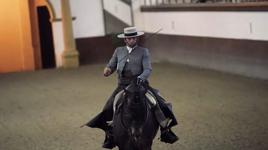 From Seville: Jerez, Cádiz and Andalusian Horses - The road to Cádiz