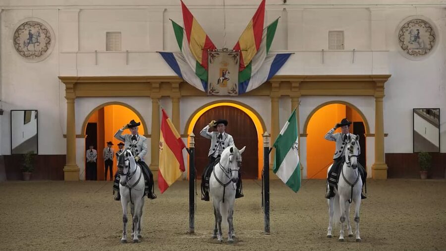 From Seville: Jerez, Cádiz and Andalusian Horses - Timing, group size, and comfort