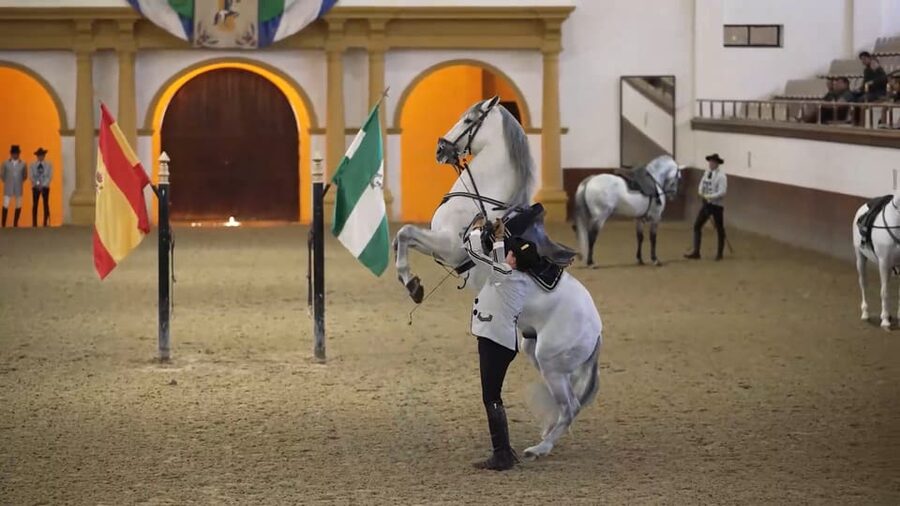From Seville: Jerez, Cádiz and Andalusian Horses - Starting in central Seville