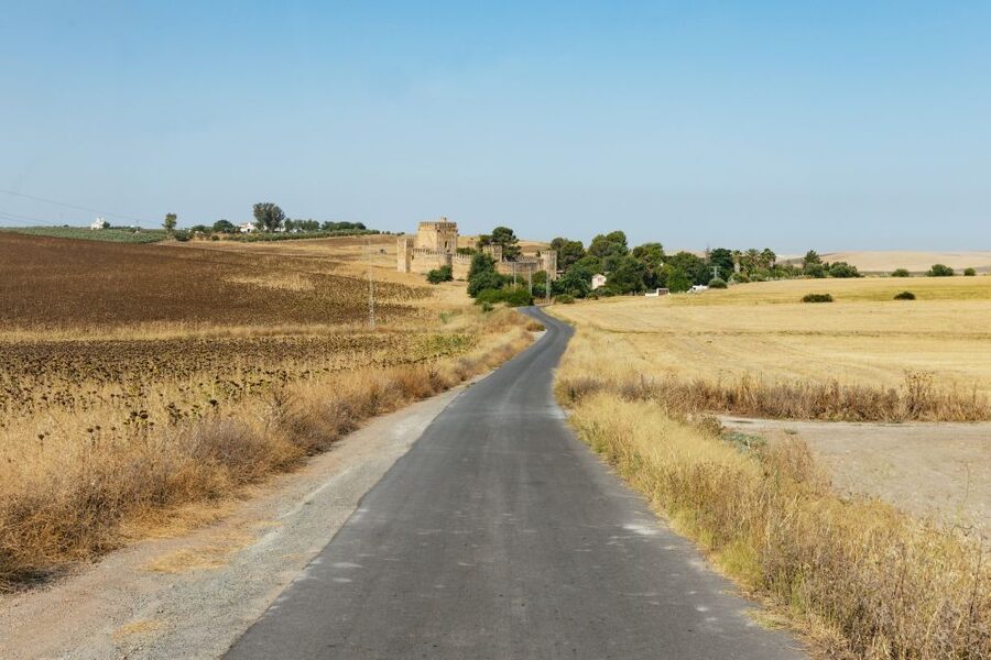 From Seville: Pueblos Blancos and Ronda Full-Day Trip - What to bring and how to handle the long day