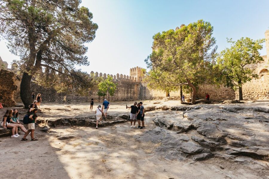 From Seville: Pueblos Blancos and Ronda Full-Day Trip - The olive oil stop at Molino El Vínculo