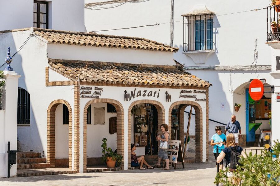 From Seville: Pueblos Blancos and Ronda Full-Day Trip - The road to Ronda through Mediterranean woodland