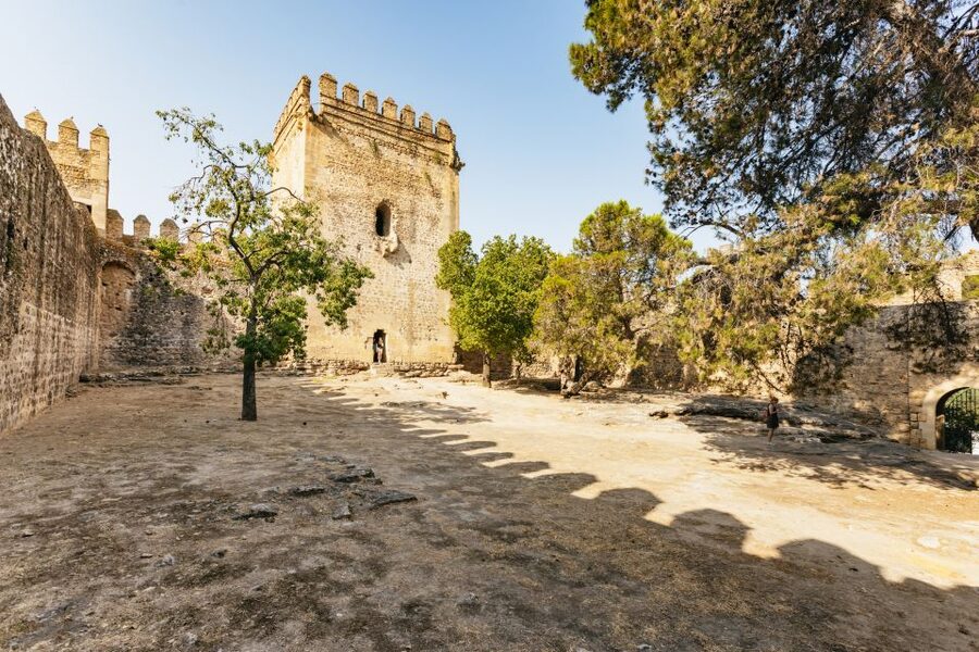 From Seville: Pueblos Blancos and Ronda Full-Day Trip - Guides, languages, and the human side of the tour