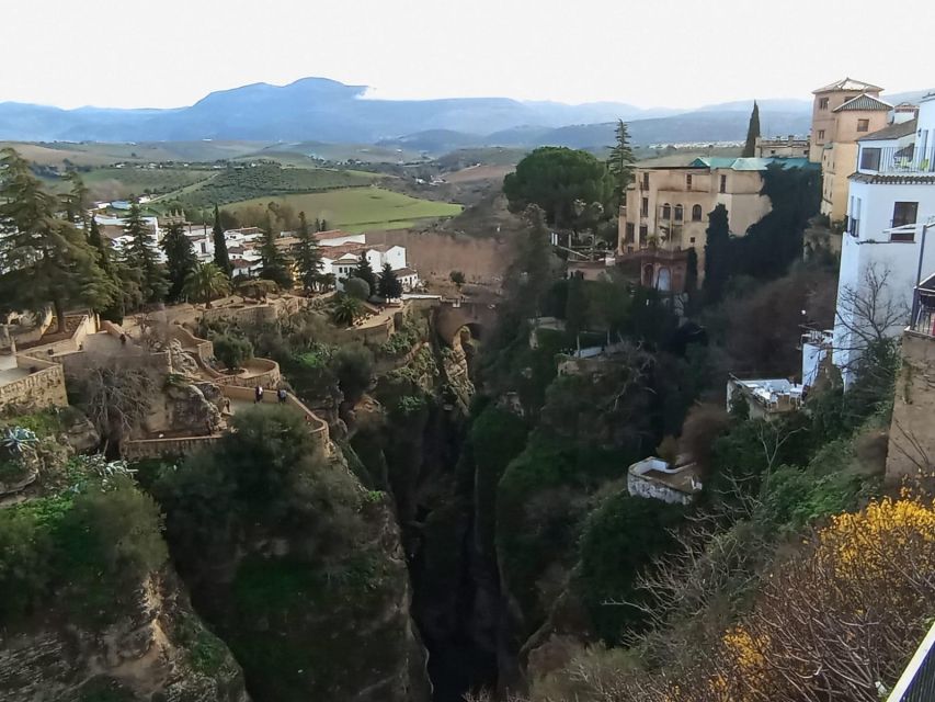From Seville: Ronda+Setenil de las Bodegas Day Trip - Key points to know before booking