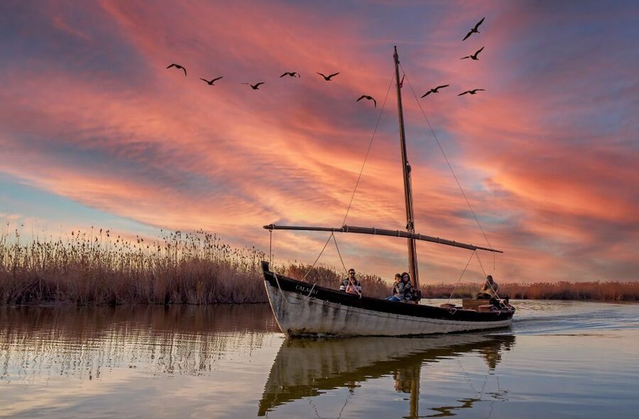 From Valencia: Albufera Day Trip with Boat Tour and Transfer - Why Albufera makes a fine break from Valencia