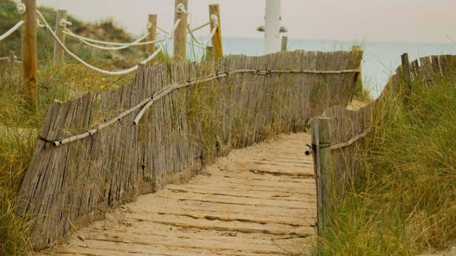 From Valencia: Albufera Day Trip with Boat Tour and Transfer - Palmar, the tiny fishing community