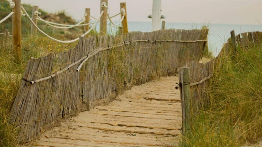 From Valencia: Albufera Day Trip with Boat Tour and Transfer - The Albufera boat ride is the payoff