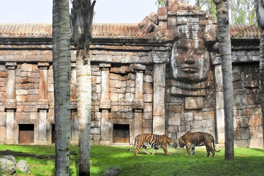 Fuengirola: Bioparc Entrance Ticket - A Compact Zoo With Big Animal Encounters