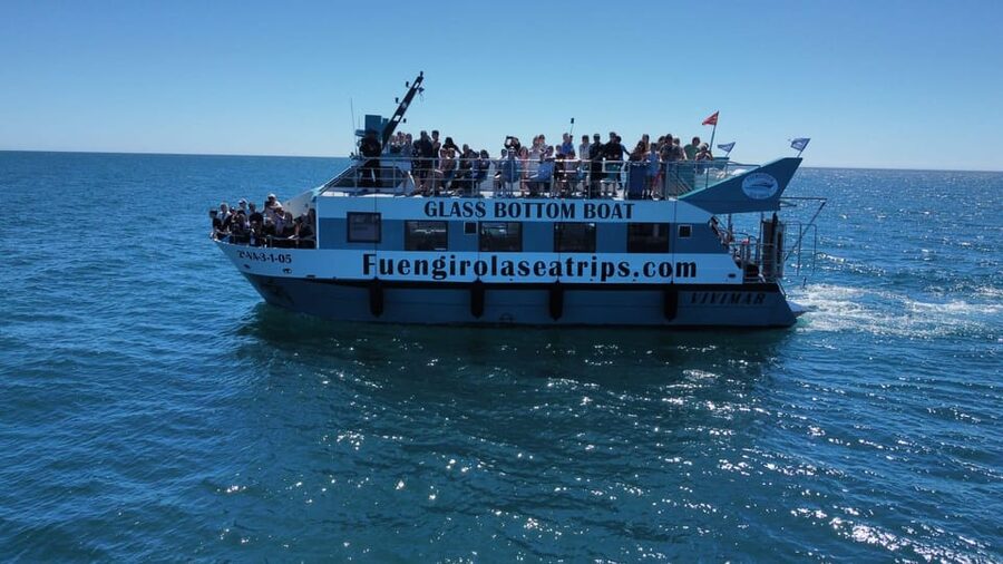 Fuengirola: Catamaran Tour to Spot Dolphins - Setting Sail From Fuengirola’s Port
