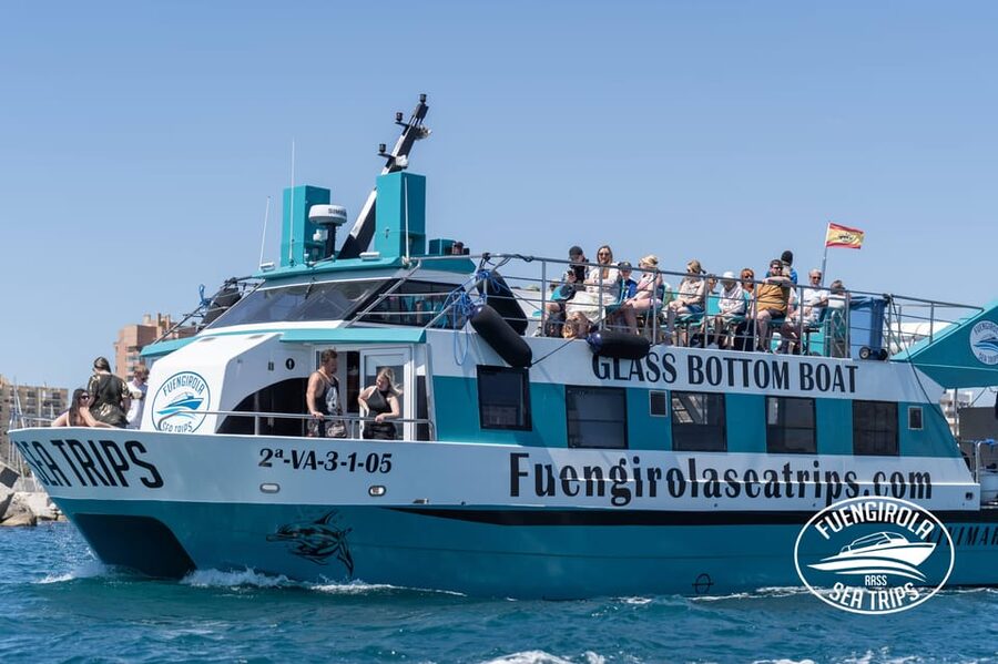 Fuengirola: Catamaran Tour to Spot Dolphins - What the Two-Hour Route Feels Like