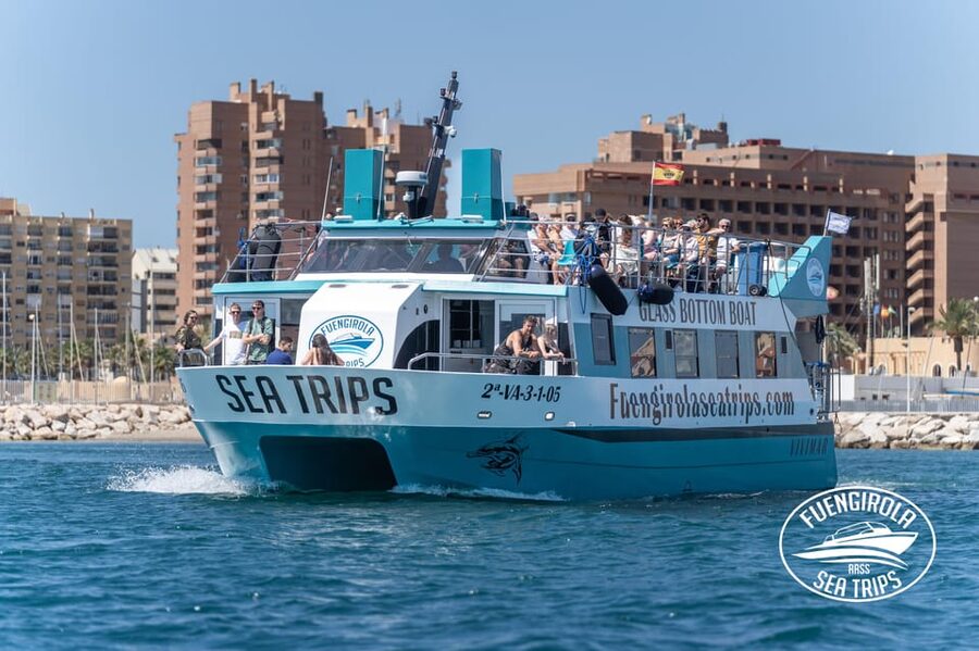 Fuengirola: Catamaran Tour to Spot Dolphins - Dolphin Watching Without a Guarantee