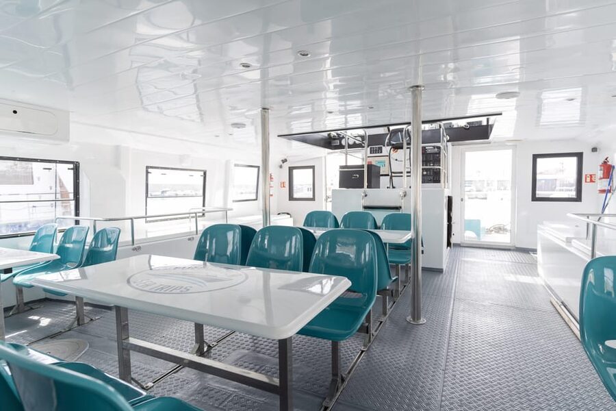 Fuengirola: Catamaran Tour to Spot Dolphins - The Catamaran’s Comfort and Onboard Facilities
