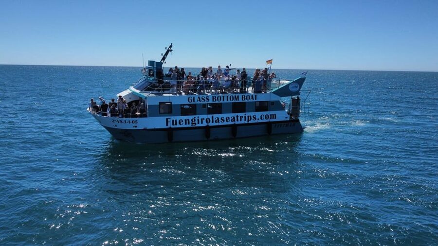 Fuengirola: Catamaran Tour to Spot Dolphins - My Verdict on the Fuengirola Dolphin Cruise