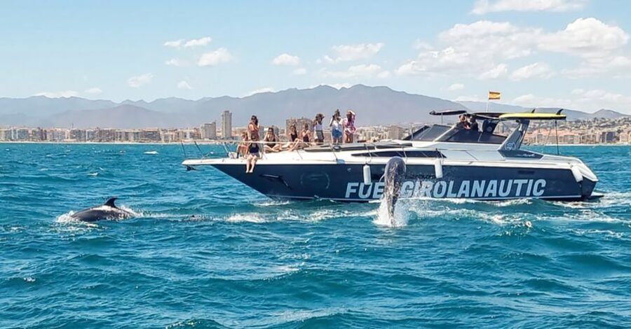 Fuengirola: Dolphin Watching by Yacht with Snacks and Drinks - Drinks, snacks, and the onboard mood
