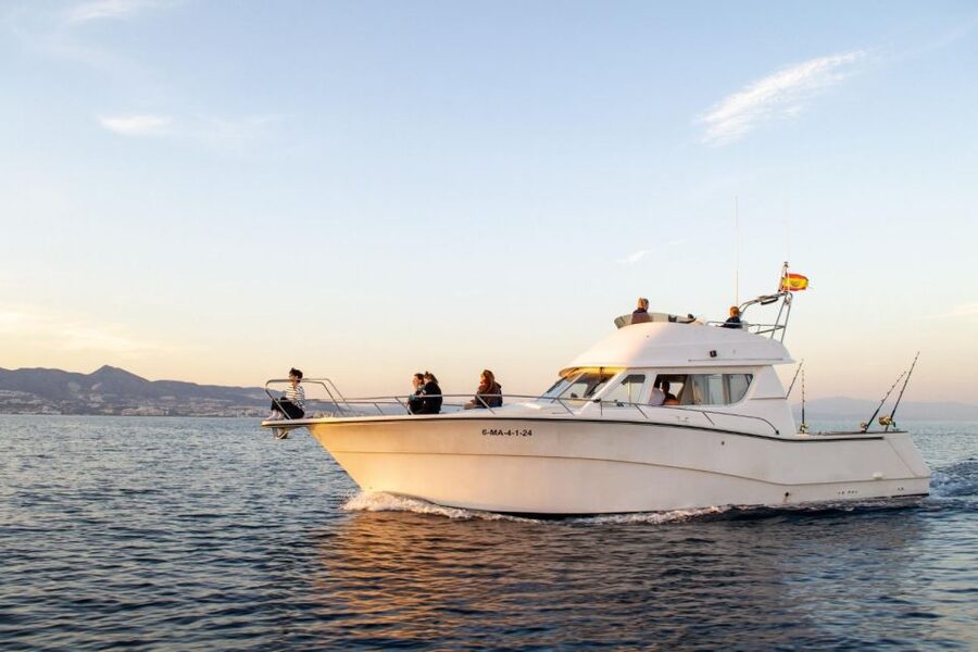 Fuengirola: Dolphin Watching Excursion with Refreshments - Key points to know before you book