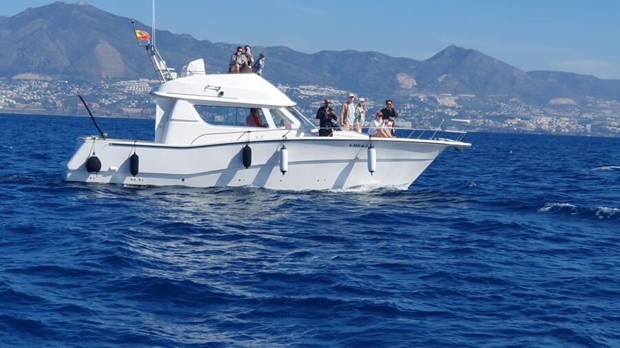 Fuengirola: Dolphin Watching Excursion with Refreshments - Drinks, snacks, and a possible swim stop