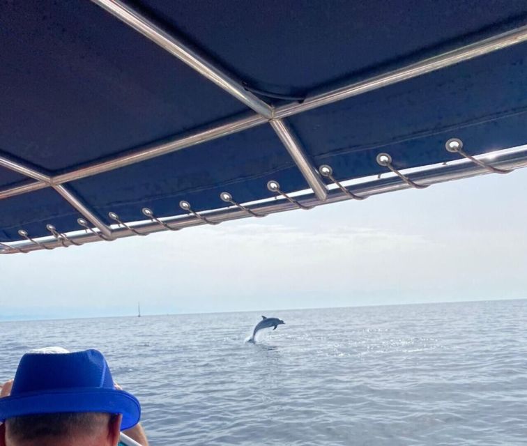 Fuengirola: Fantastic Dolphin Watching Yacht Tour with Drink - How the $41 price measures up
