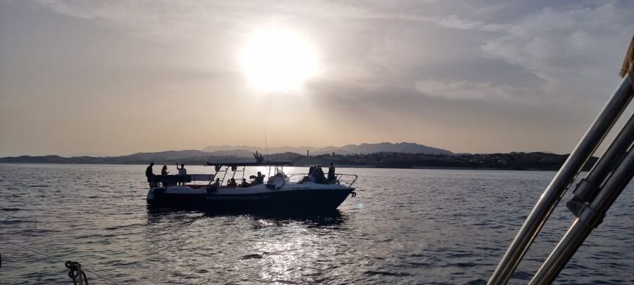 Fuengirola: Fantastic Dolphin Watching Yacht Tour with Drink - The first hour: searching for dolphins