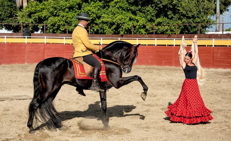 Fuengirola: Spanish Horse Show with Optional Dinner/Flamenco - The 18:00 Cartujano horse show