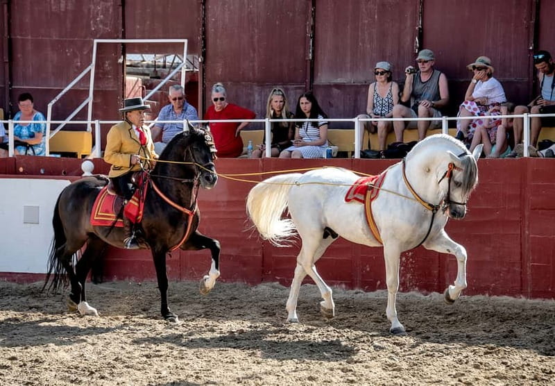 Fuengirola: Spanish Horse Show with Optional Dinner/Flamenco - Flamenco at 21:30