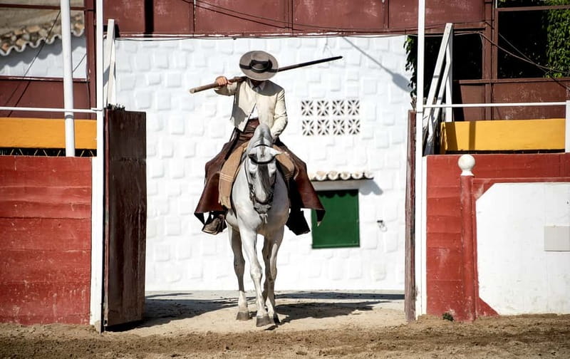 Fuengirola: Spanish Horse Show with Optional Dinner/Flamenco - Meet the horses after the performance