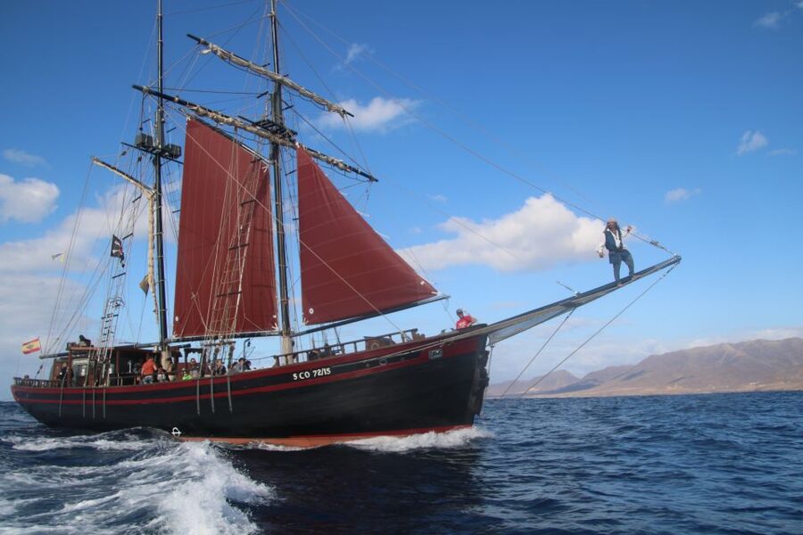 Fuerteventura: 4-Hour Pirate Sailing Adventure - Wildlife Watching With a Responsible Operator