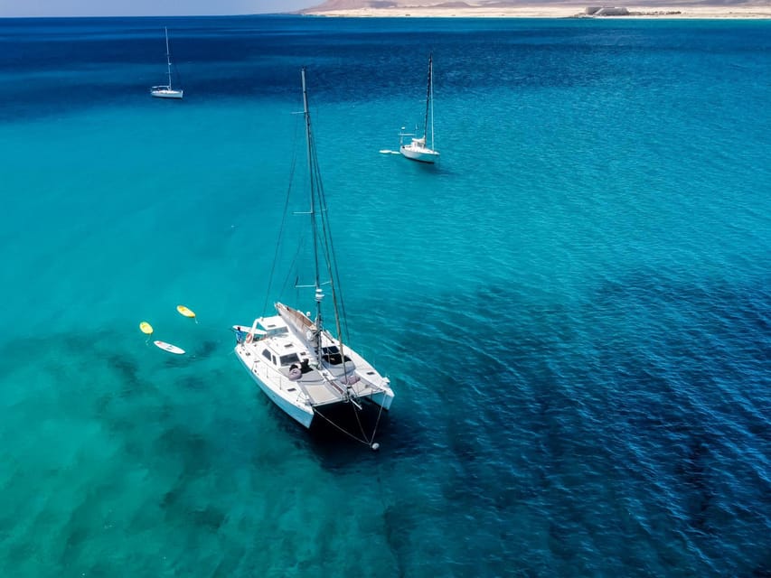 Fuerteventura : Catamaran excursion to Lobos Island - Key points at a glance