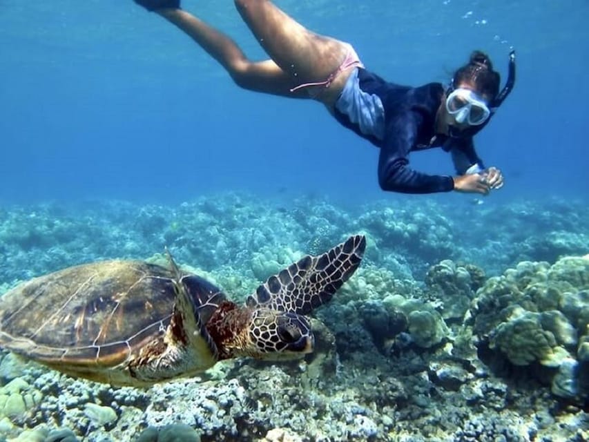 Fuerteventura : Catamaran excursion to Lobos Island - Should you book the Lobos Island catamaran?