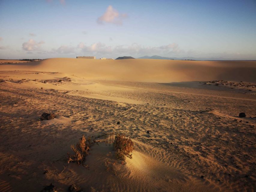 Fuerteventura: Corralejo Sand Dunes Guided Shore Excursion - What to bring and how to use your time