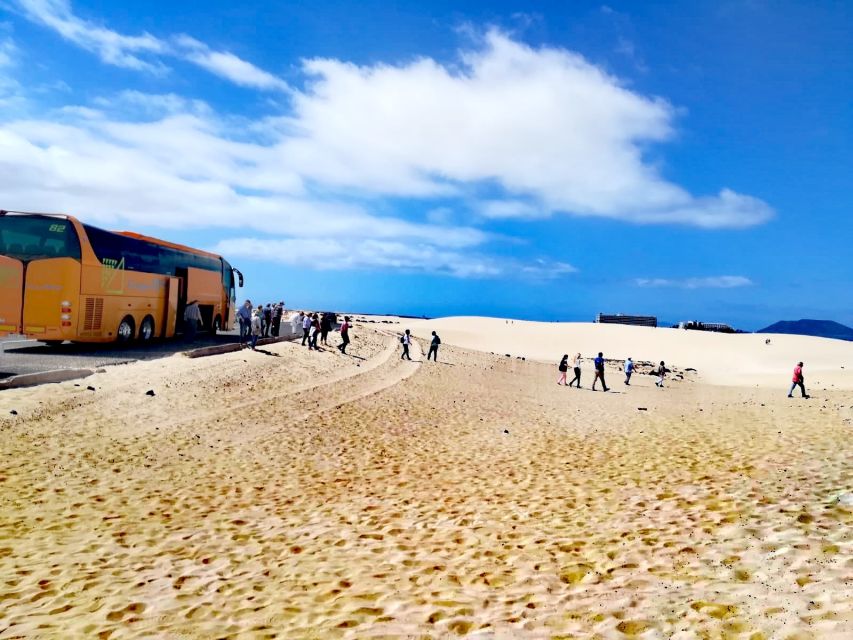 Fuerteventura: Corralejo Sand Dunes Guided Shore Excursion - Should you book the Corralejo dunes excursion?