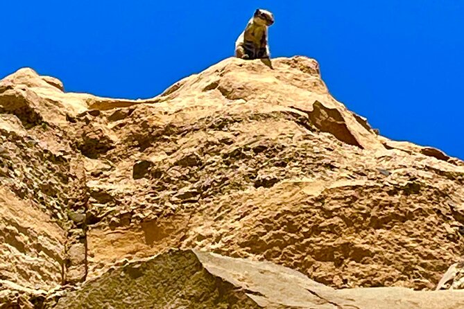 Fuerteventura: Discover Fuerteventura Tour max 8pax - Mirador Guise y Ayose frames the central island