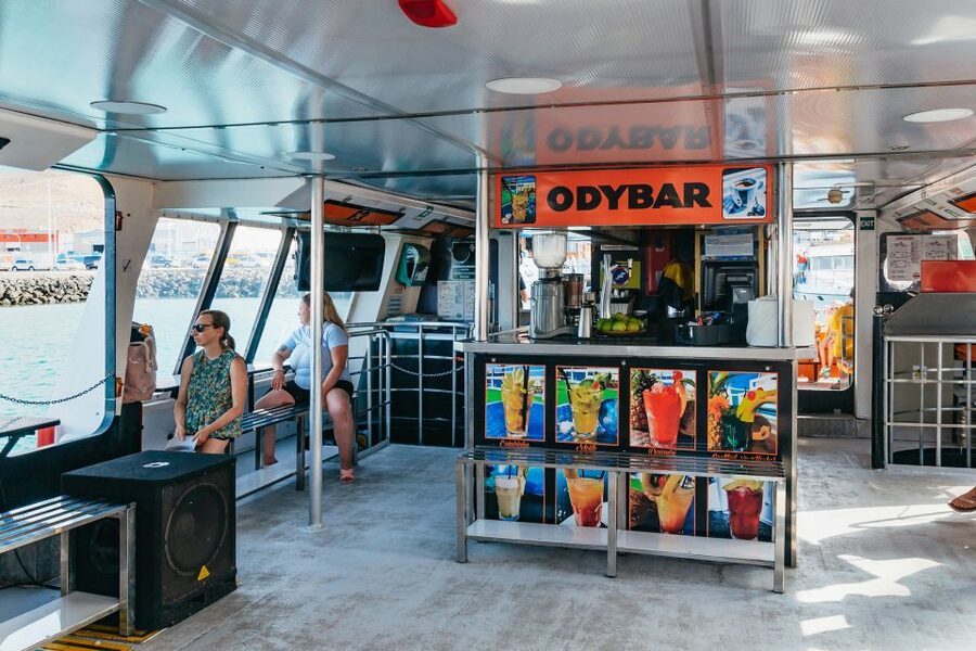 Fuerteventura: Glass Bottom Boat Cruise with Lunch & Drinks - Who will enjoy this cruise most