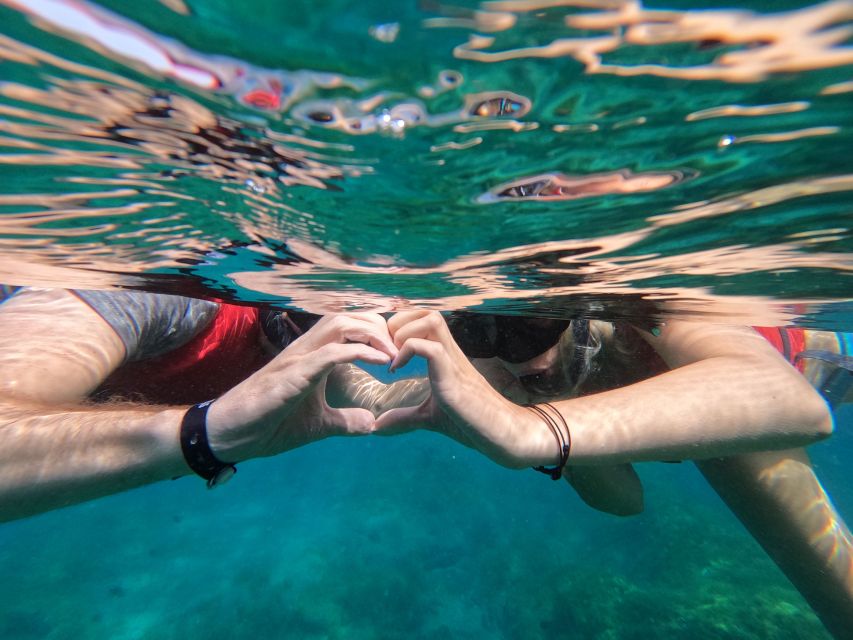 Fuerteventura: Guided Snorkeling in La Lajita with Pickup - Key points to know before booking
