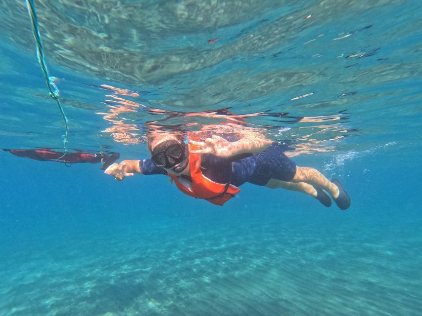 Fuerteventura: Guided Snorkeling in La Lajita with Pickup - La Lajita Beach and the Atlantic setting
