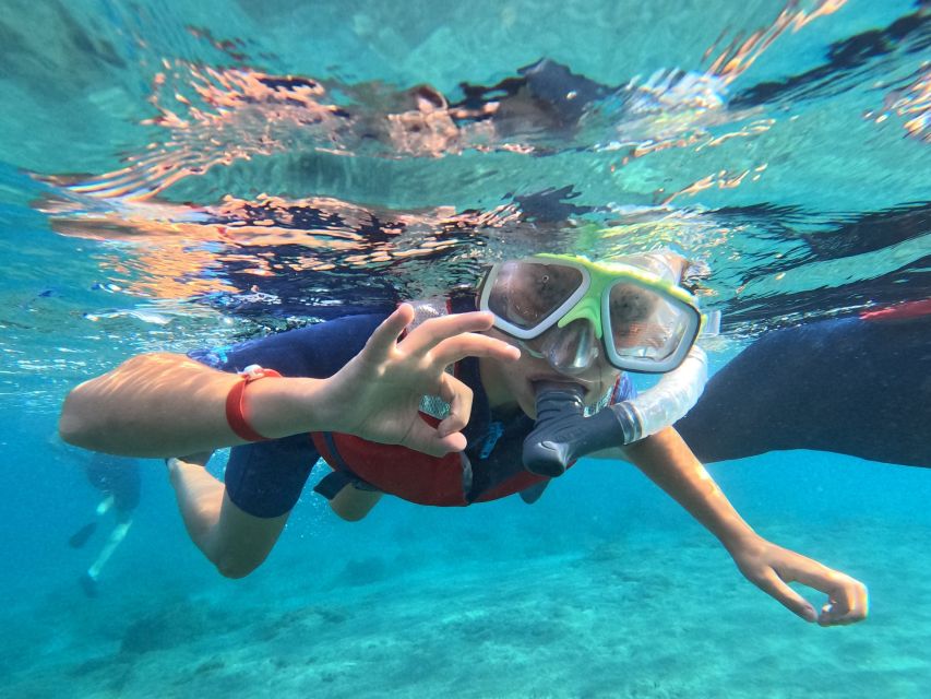 Fuerteventura: Guided Snorkeling in La Lajita with Pickup - Should you book the La Lajita snorkelling session?