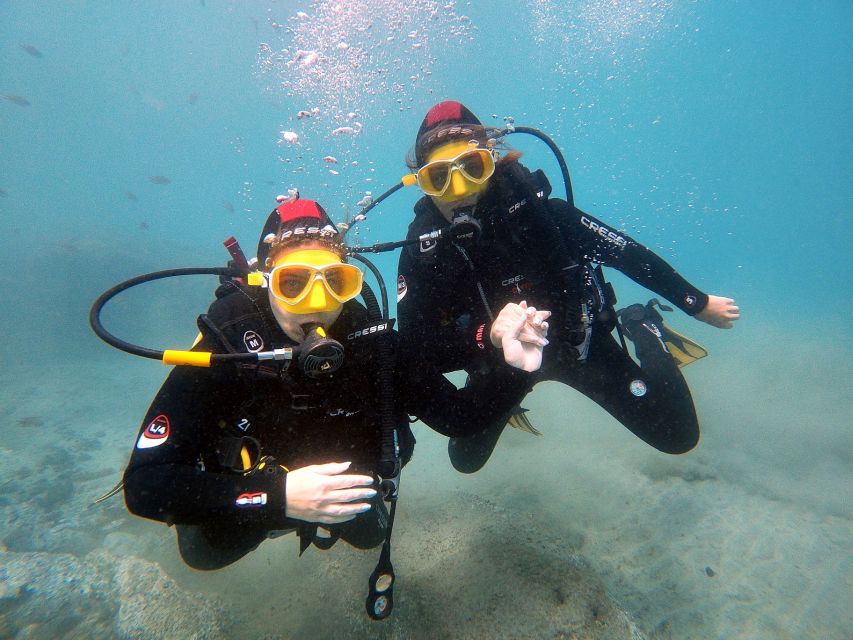 Fuerteventura: Introduction to Scuba Diving - At a glance: what makes this experience useful