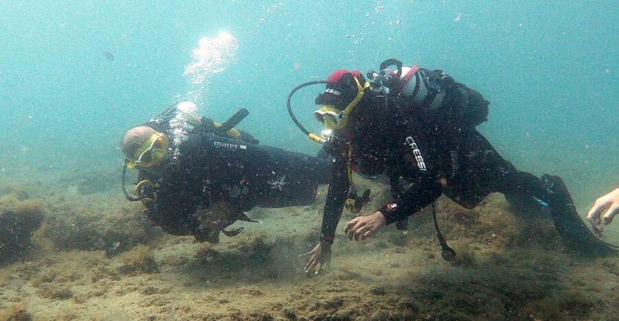 Fuerteventura: Introduction to Scuba Diving - A gentle introduction to Fuerteventura’s underwater world