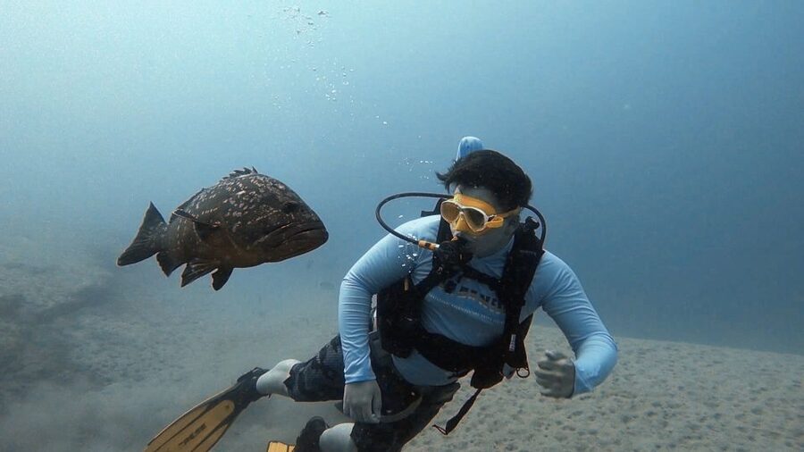 Fuerteventura: Introduction to Scuba Diving - The safety briefing comes before the sea