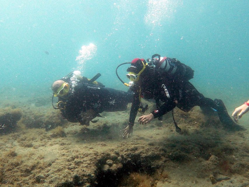 Fuerteventura: Introduction to Scuba Diving - What you see at La Lajita