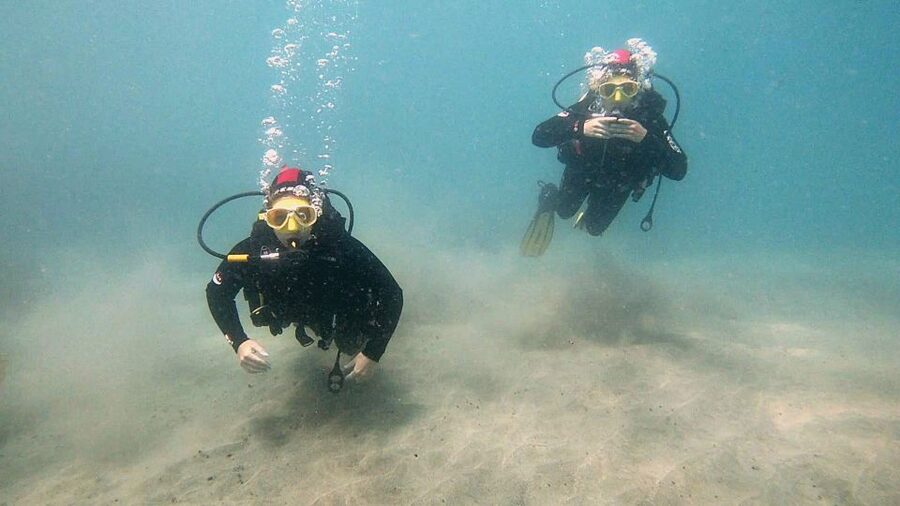Fuerteventura: Introduction to Scuba Diving - Photos, video, and the true cost