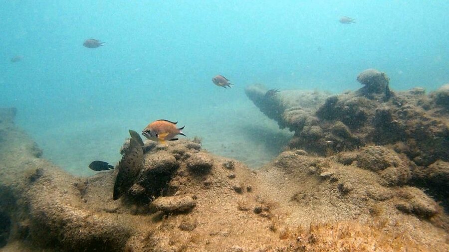 Fuerteventura: Introduction to Scuba Diving - Practical details that make the morning easier