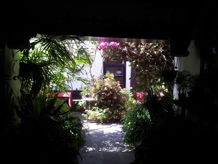 Fuerteventura: Island Tour by Minibus - Betancuria and the taste of Fuerteventura
