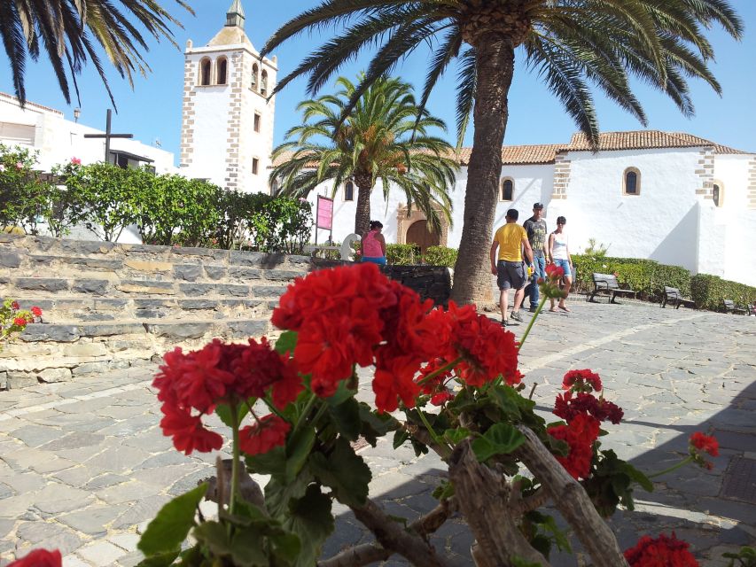Fuerteventura: Island Tour by Minibus - How much driving should you expect?