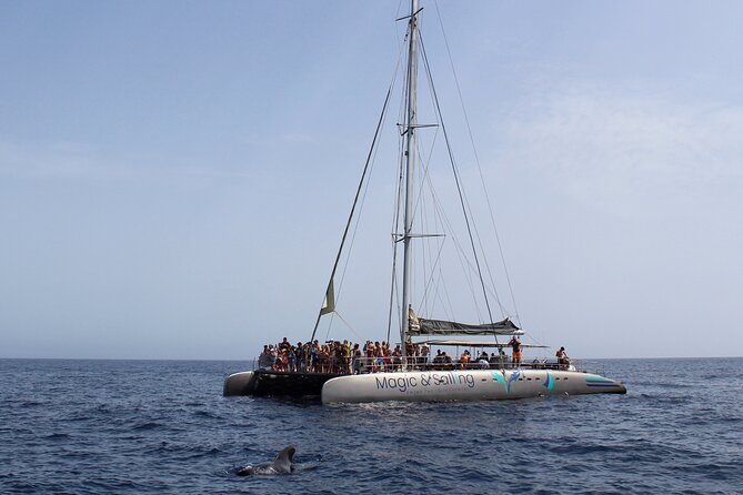 Fuerteventura: Magic Select Catamaran Trip with Food & Drinks - Chicken, rice, drinks, music, and dancing
