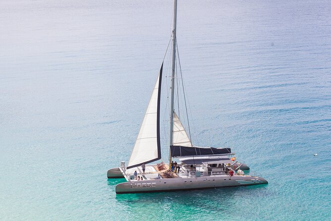Fuerteventura: Magic Select Catamaran Trip with Food & Drinks - Is $93.12 a fair price?