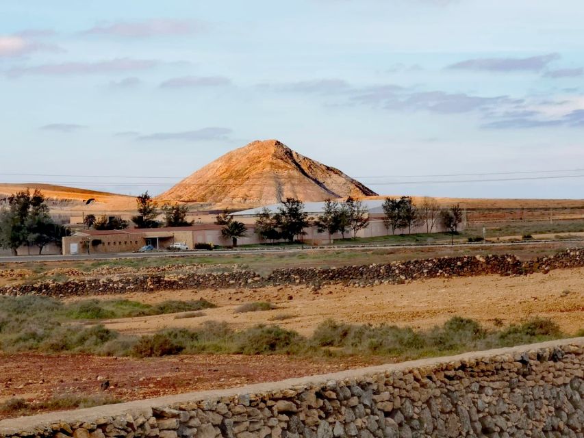 Fuerteventura: North of Fuerteventura for Cruise Passengers - What the guide adds to the day