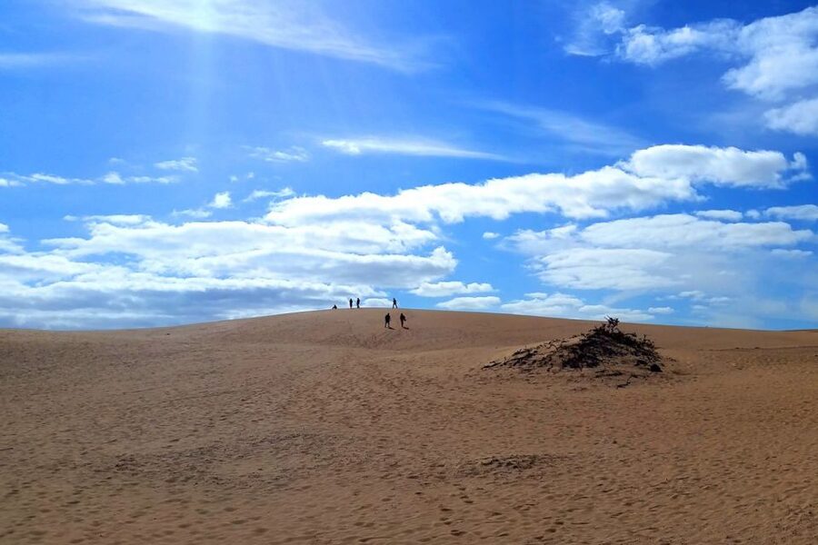 Fuerteventura: Panoramic Tour - Sotavento’s white shore and shallow lagoons