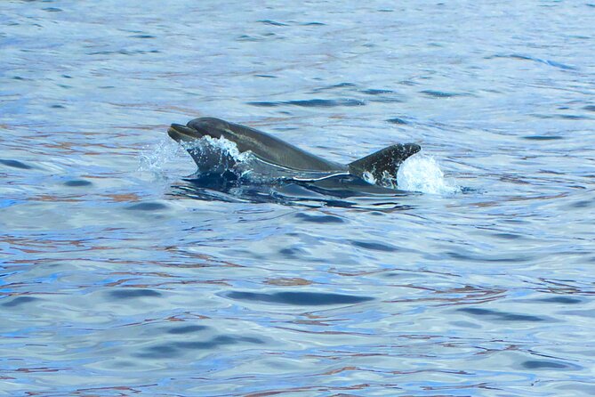Fuerteventura Sailing Trip from Morro Jable - A sociable trip without a crowded-boat feel