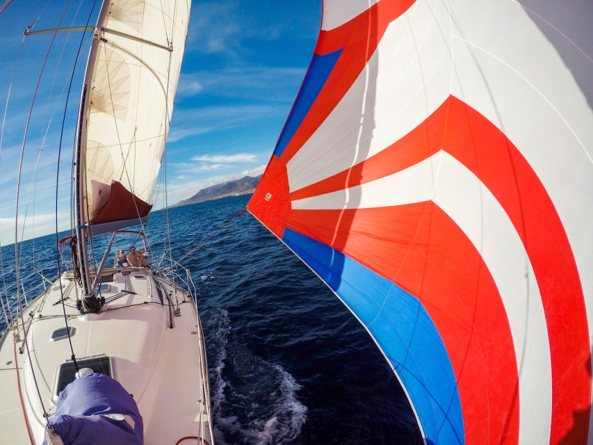 Fuerteventura: Sailing with Snorkeling and Dolphin Watching - Crew, languages, and the small-boat atmosphere