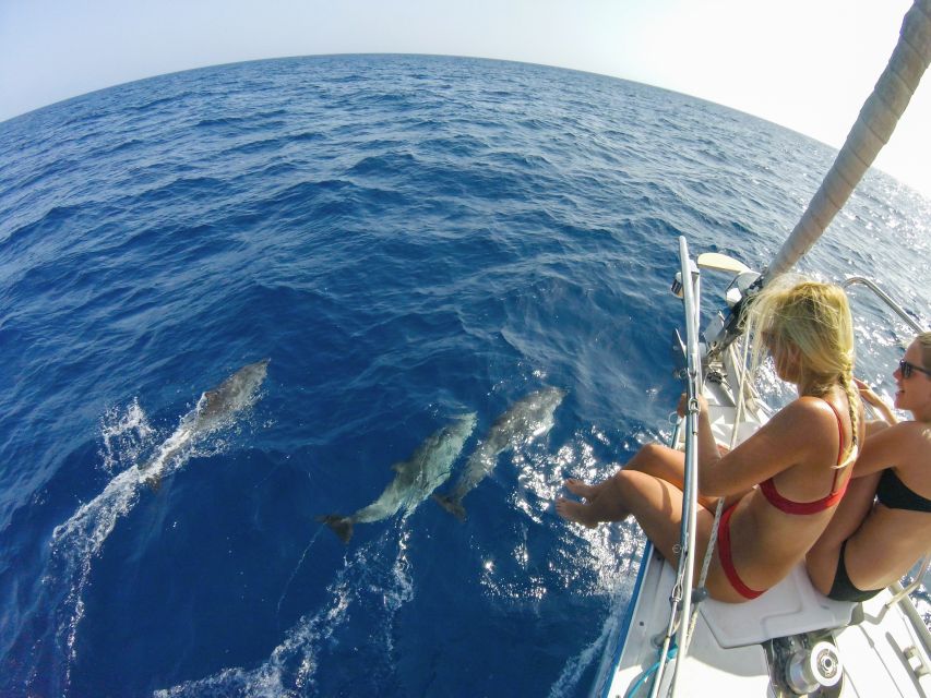 Fuerteventura: Sailing with Snorkeling and Dolphin Watching - Weather, comfort, and who should book